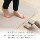 玄関マット 玄関マット 韓国風 ラグマット かわいい カーペット シンプル 絨毯 小さめ ラグ おしゃれ 北欧 モダン 手洗い可能 滑り止め 春 秋 冬 屋内 ぼん家具
