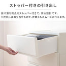 中が見えない 壁付き フラットチェスト 日本製