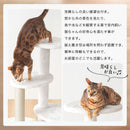  4wayキャットタワー キャットタワー キャットハウス キャットツリー 突っ張り 据え置き 運動不足 爪研ぎ タワー ステップ 猫タワー 多頭飼い 猫用品 猫グッズ おしゃれ SHIPOPO