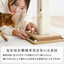 SHIPOPO爪とぎキャットポール
