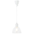 ガラス製 1灯 ペンダントライト