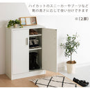 シューズボックス 2扉 薄型タイプ 幅60×奥行30cm