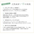 い草ラグマット